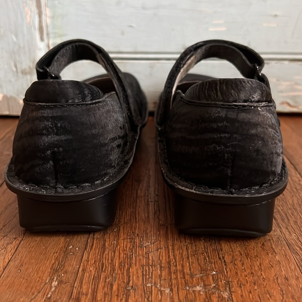 Women’s Alegria Leather/Suede Zebra  Mary Jane Shoes - Picture 3 of 9